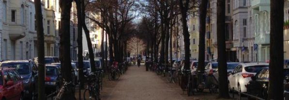 Viszerale Therapie nach Ogulov Methode 4/4